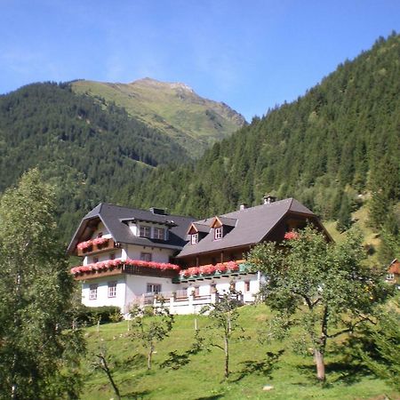 Biobauernhof Spieszschweiger Villa Sankt Nikolai im Solktal Luaran gambar