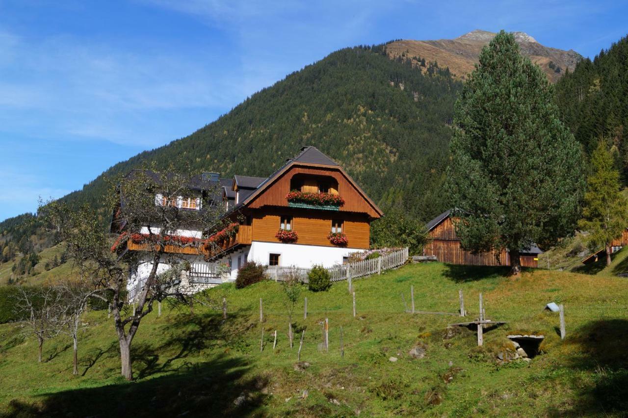 Biobauernhof Spieszschweiger Villa Sankt Nikolai im Solktal Luaran gambar