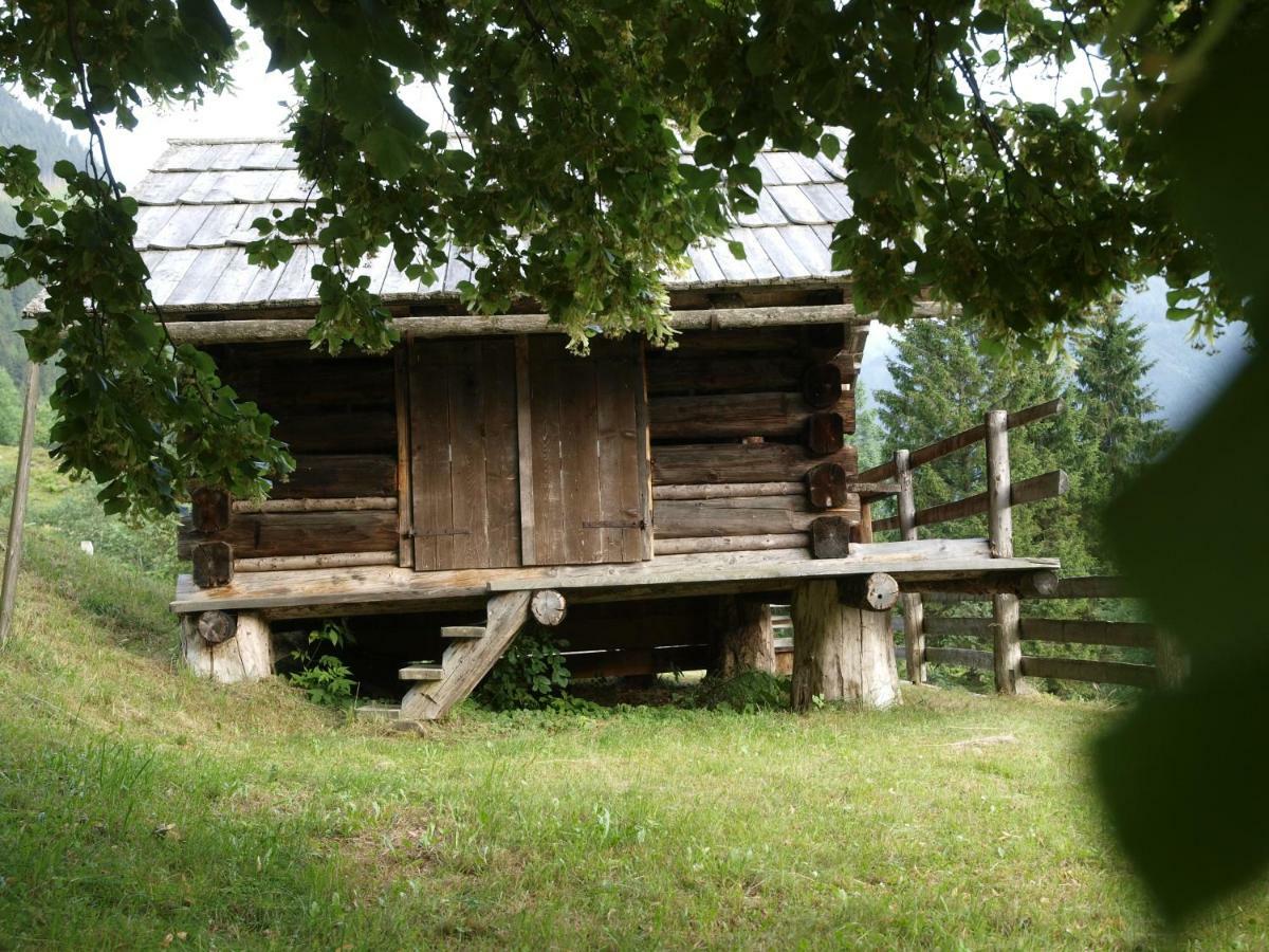 Biobauernhof Spieszschweiger Villa Sankt Nikolai im Solktal Luaran gambar
